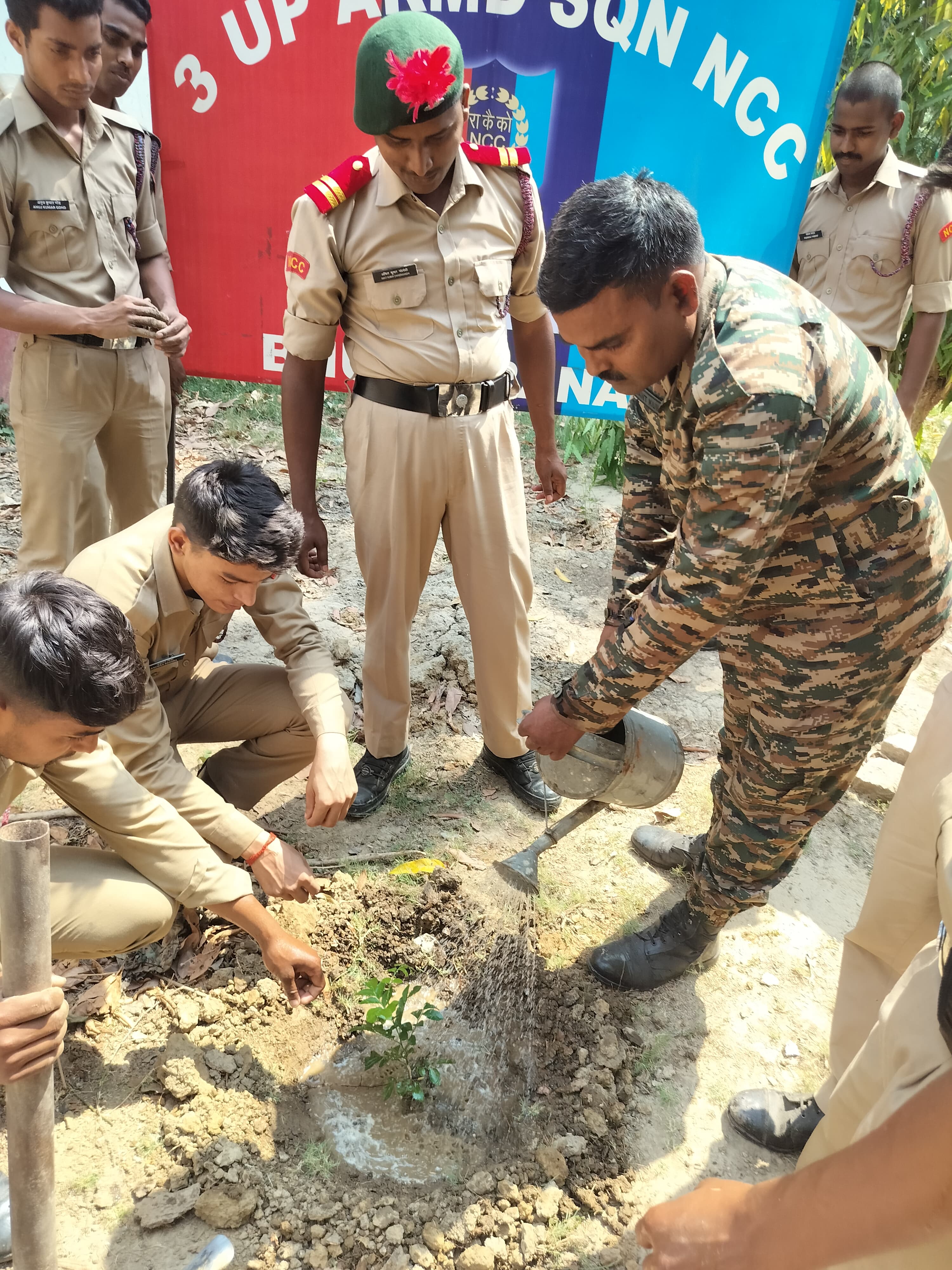 Tree Plantation